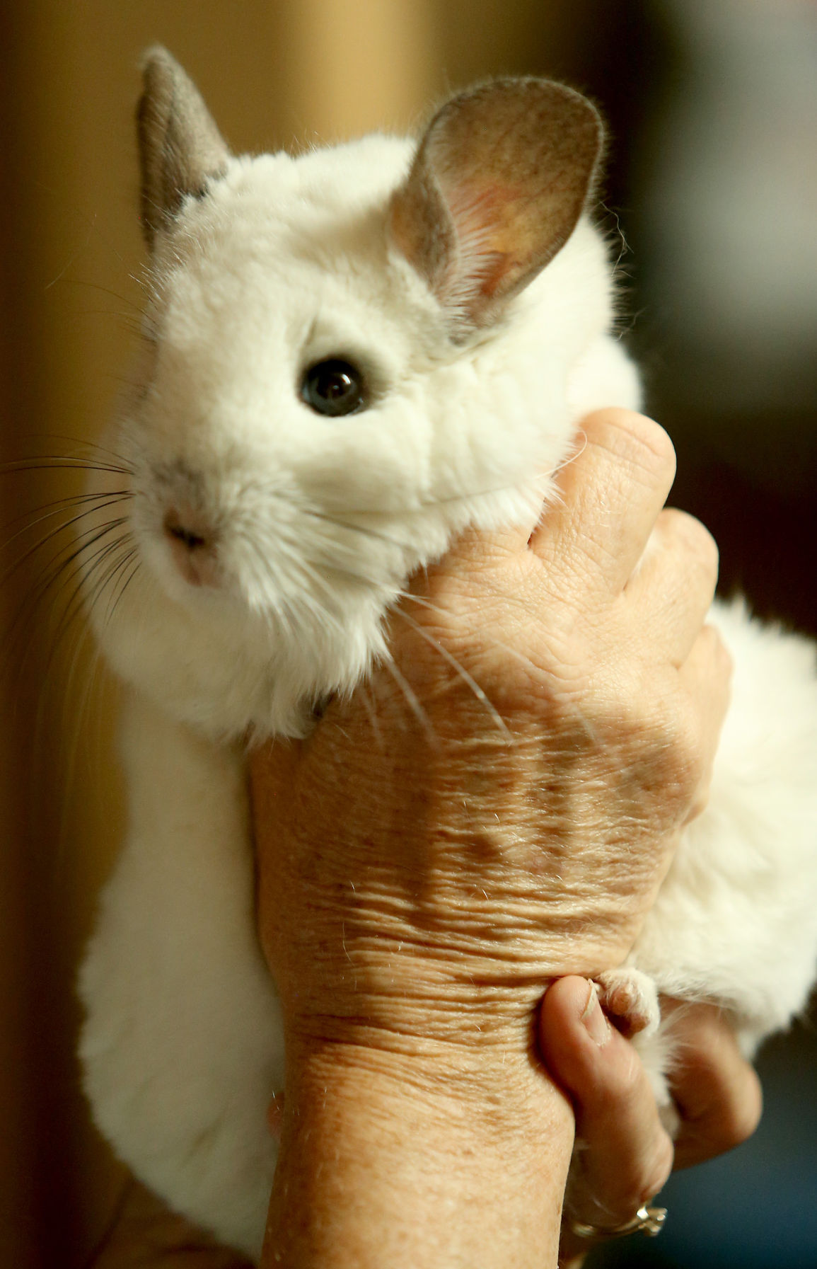 060518-qct-animal-sanctuary-024